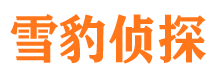 叙永侦探公司